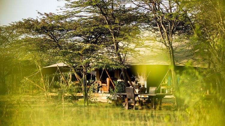 Mara Expedition Camp Great Plains en Masai Mara