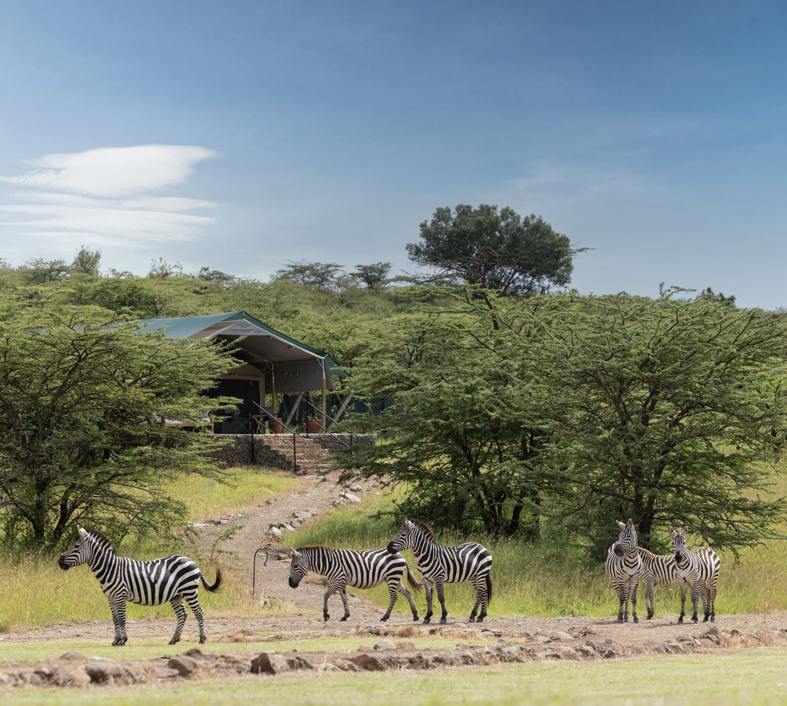 Offbeat Ndoto Camp en Masai Mara