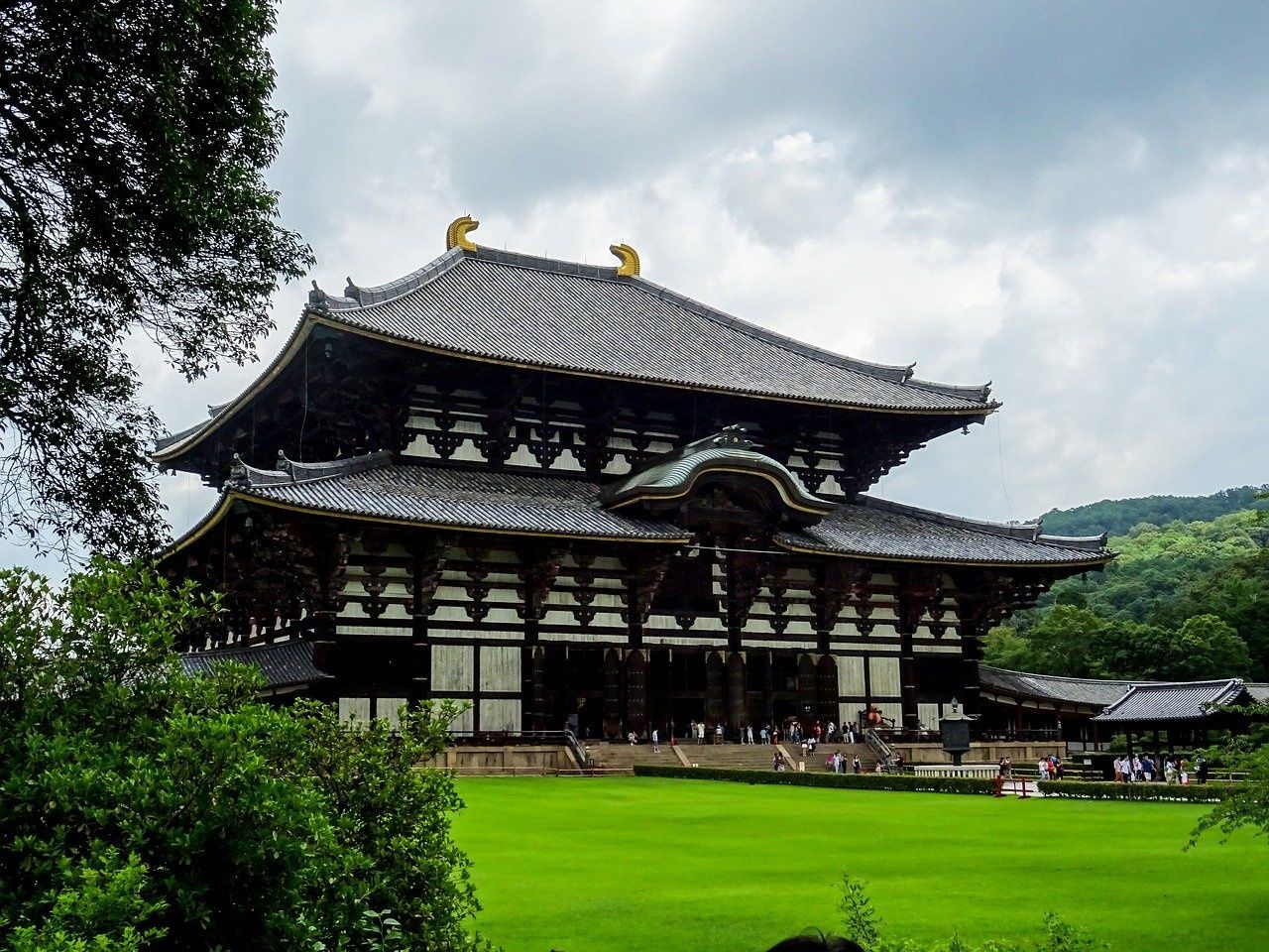 Nara | LAT.40