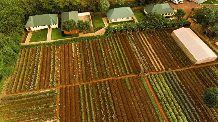 Acacia Farm Lodge en Ngorongoro