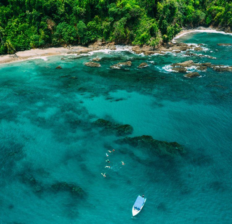 Oxygen Jungle Villas & Spa en Costa Rica