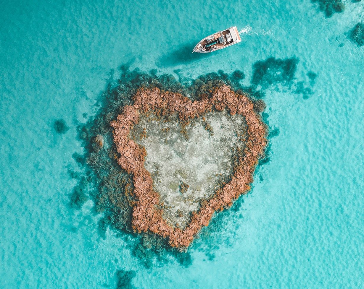Qualia en Hamilton Island
