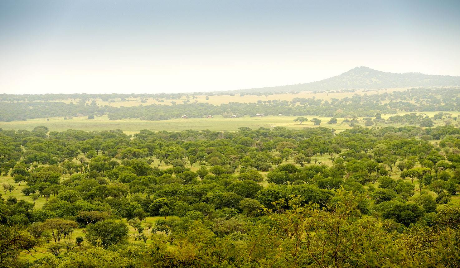 Asanja Grumeti en Serengeti