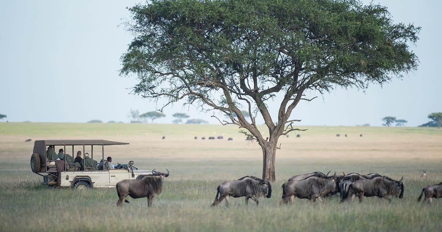 Asanja Grumeti en Serengeti