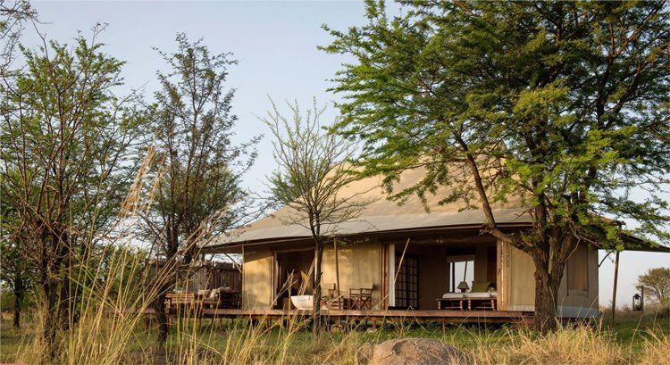 Sayari Camp en Serengeti