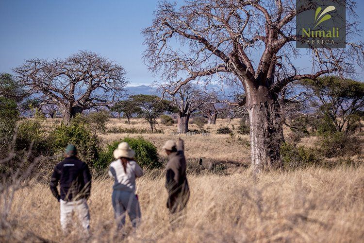 Nimali Camp Tarangire en Tarangire