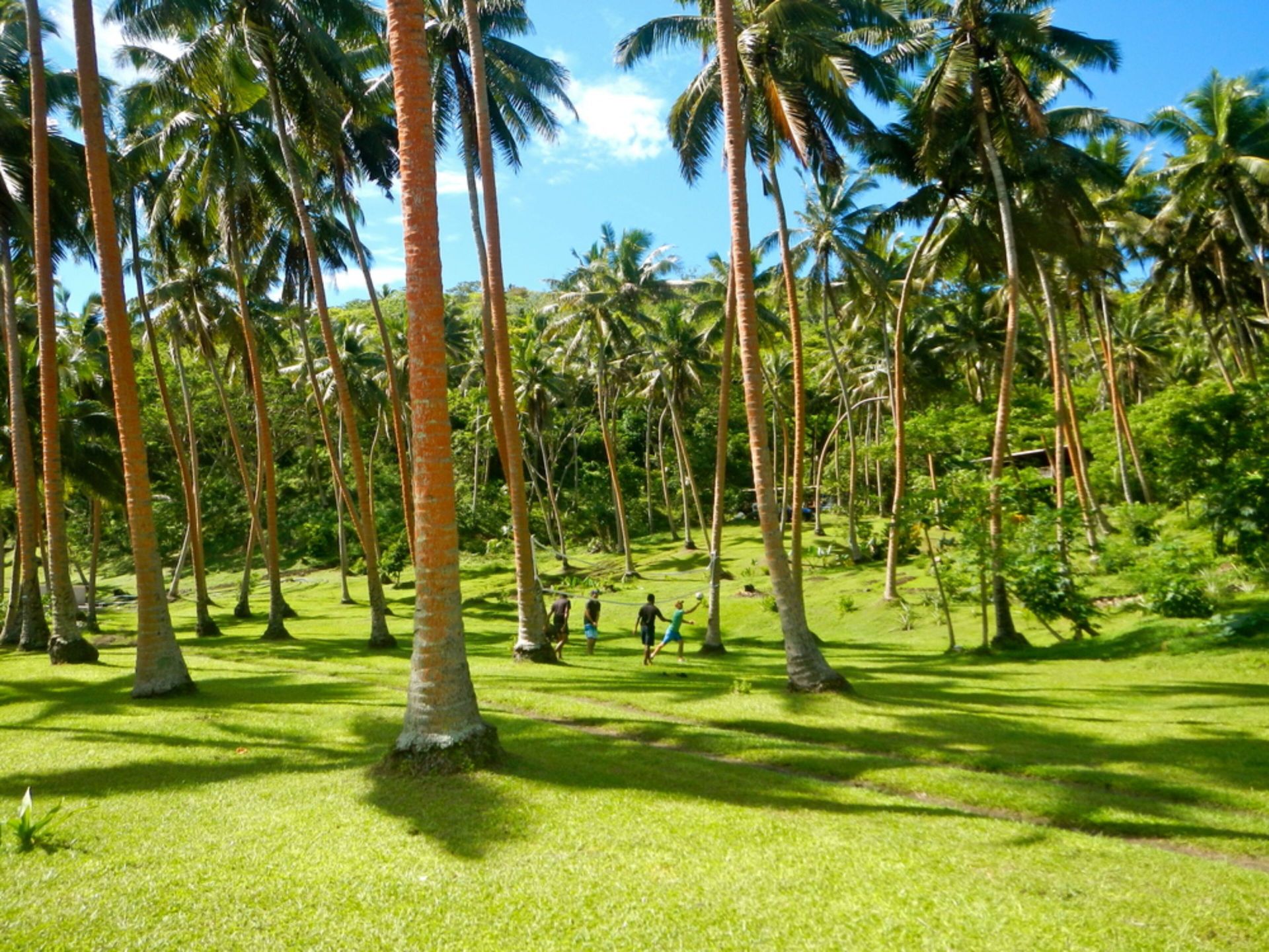 The Remote Resort en Fiji