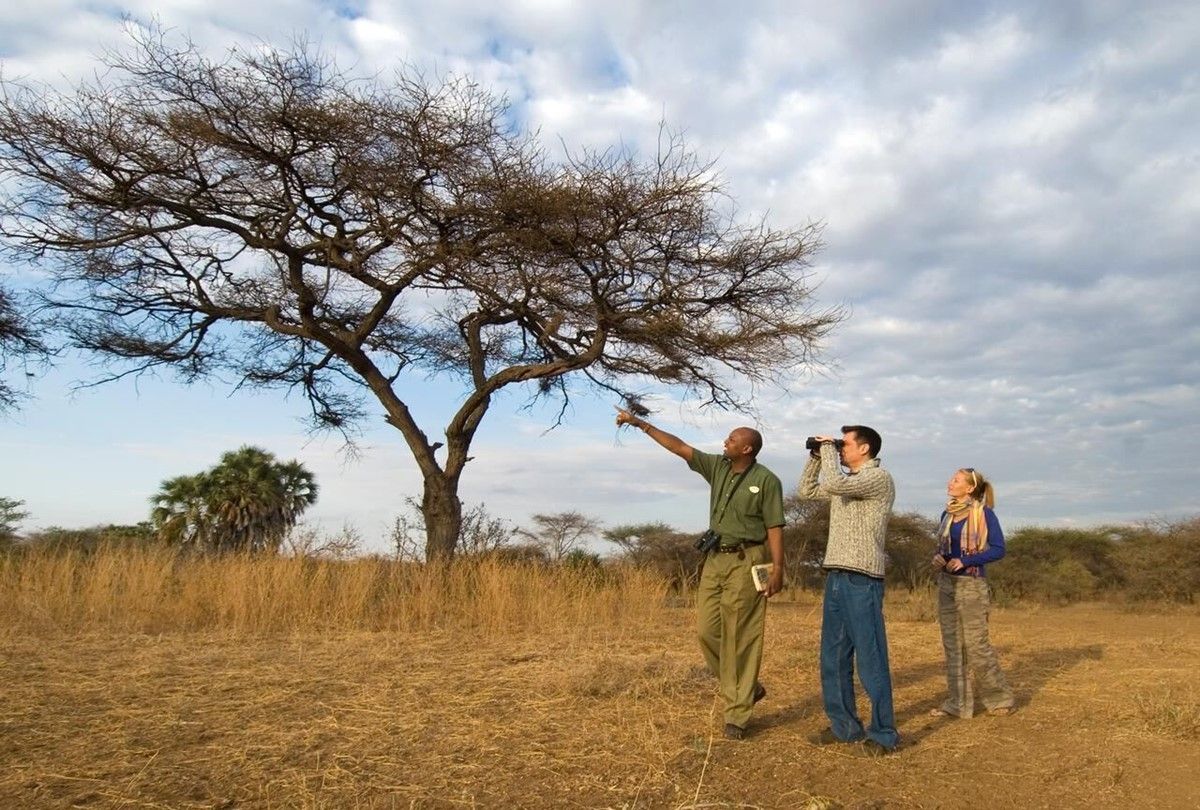 Severin Safari Camp en Tsavo West
