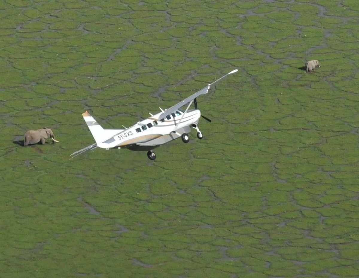 Severin Safari Camp en Tsavo West