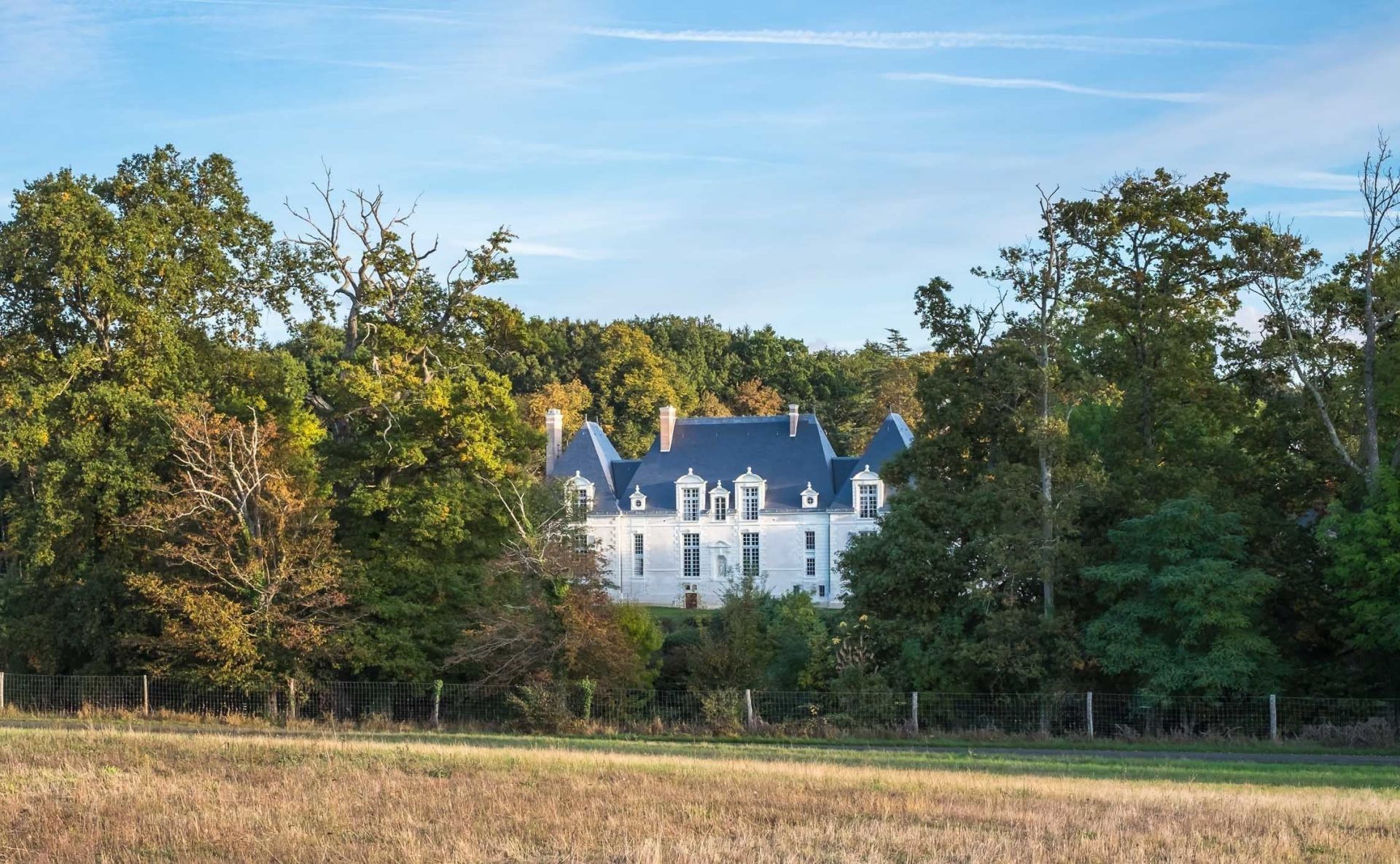 Château Des Grotteaux en Blois