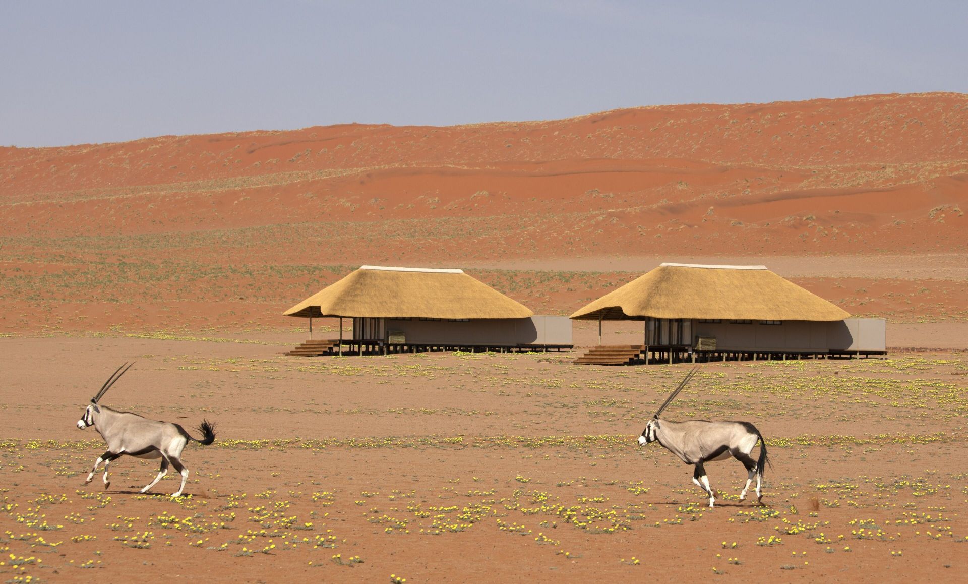 Kwessi Dunes en Desierto del Namib