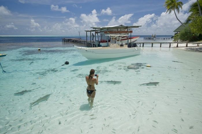 Havaiki Lodge en Fakarava