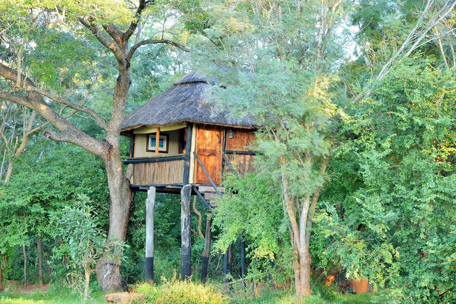 Ivory Safari Lodge en Hwange