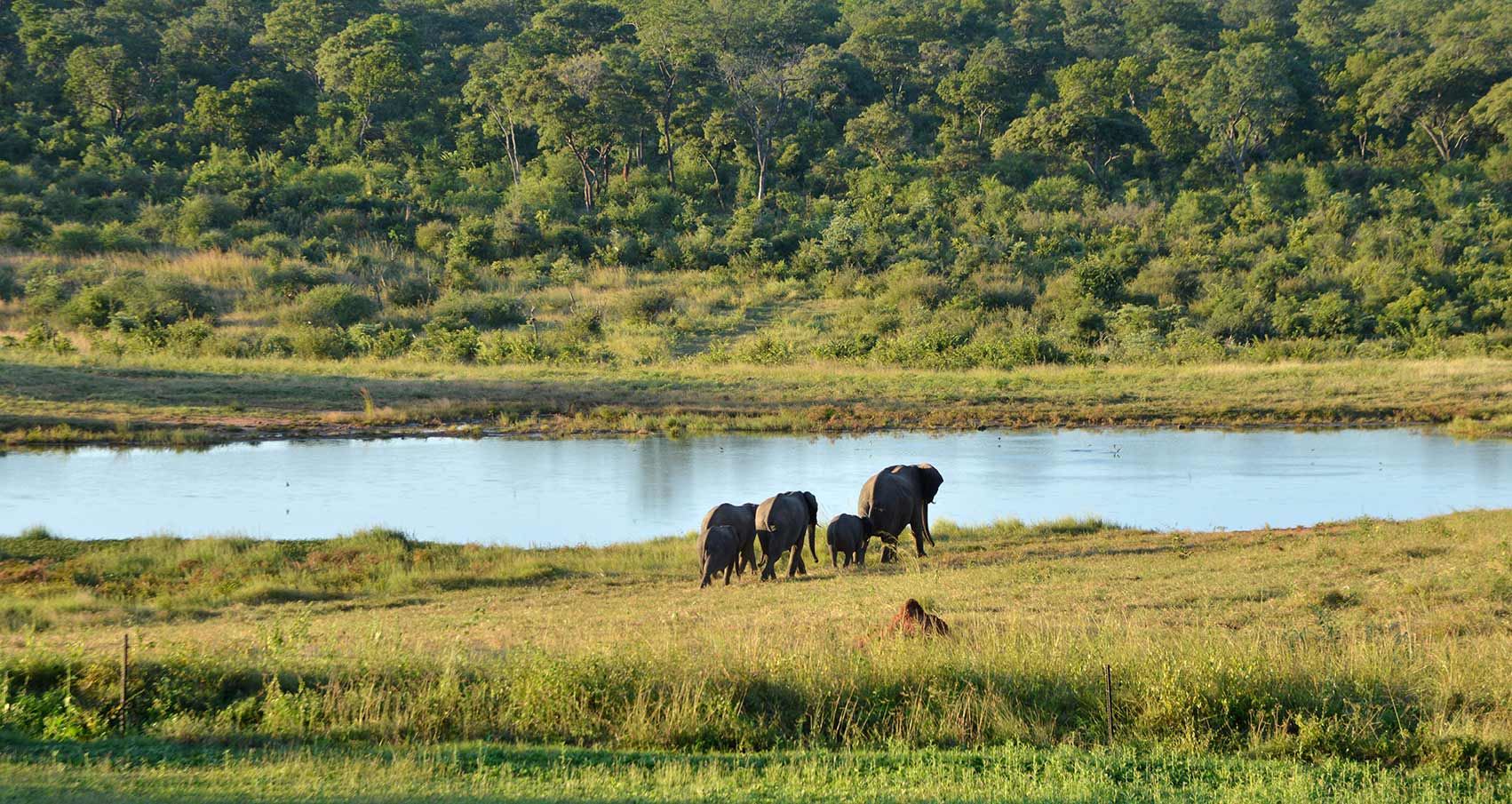Ivory Safari Lodge en Hwange