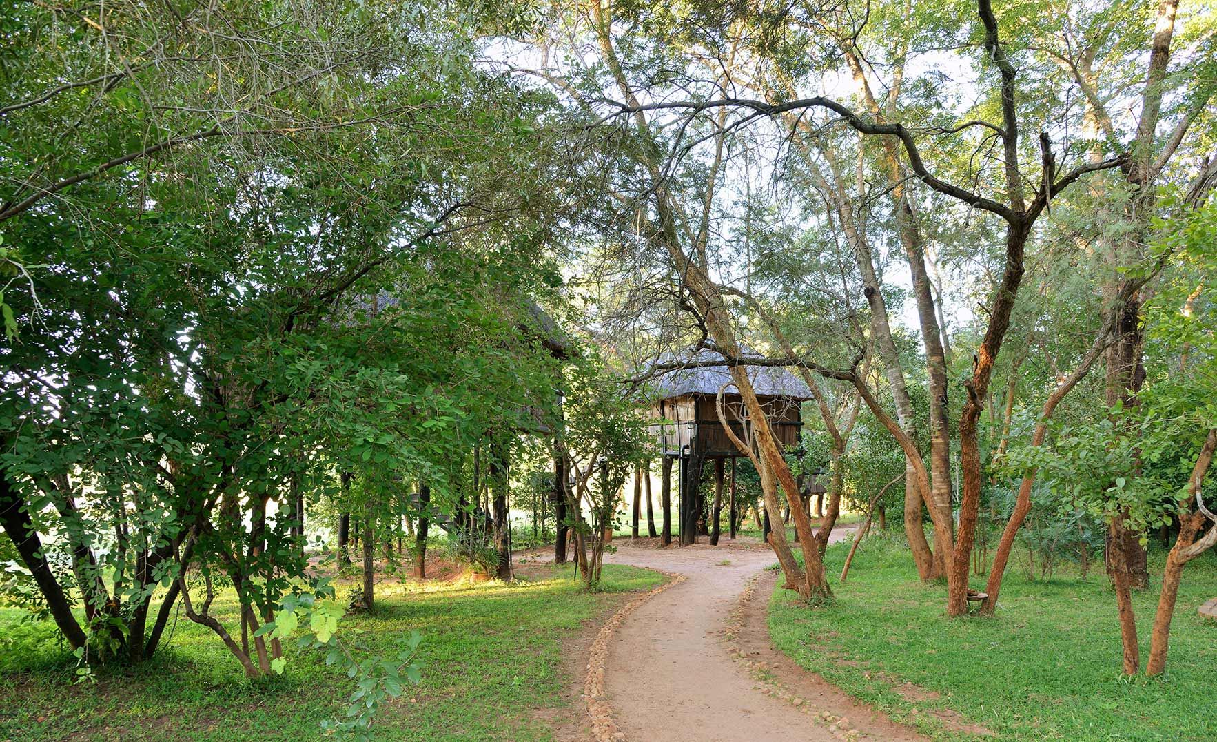 Ivory Safari Lodge en Hwange