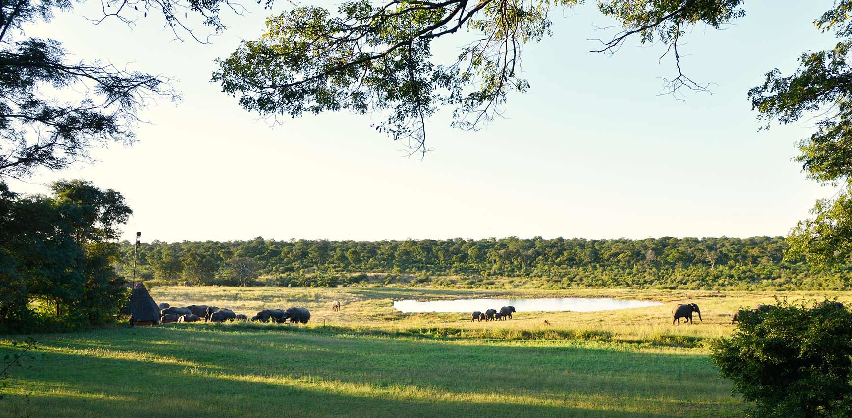 Ivory Safari Lodge en Hwange