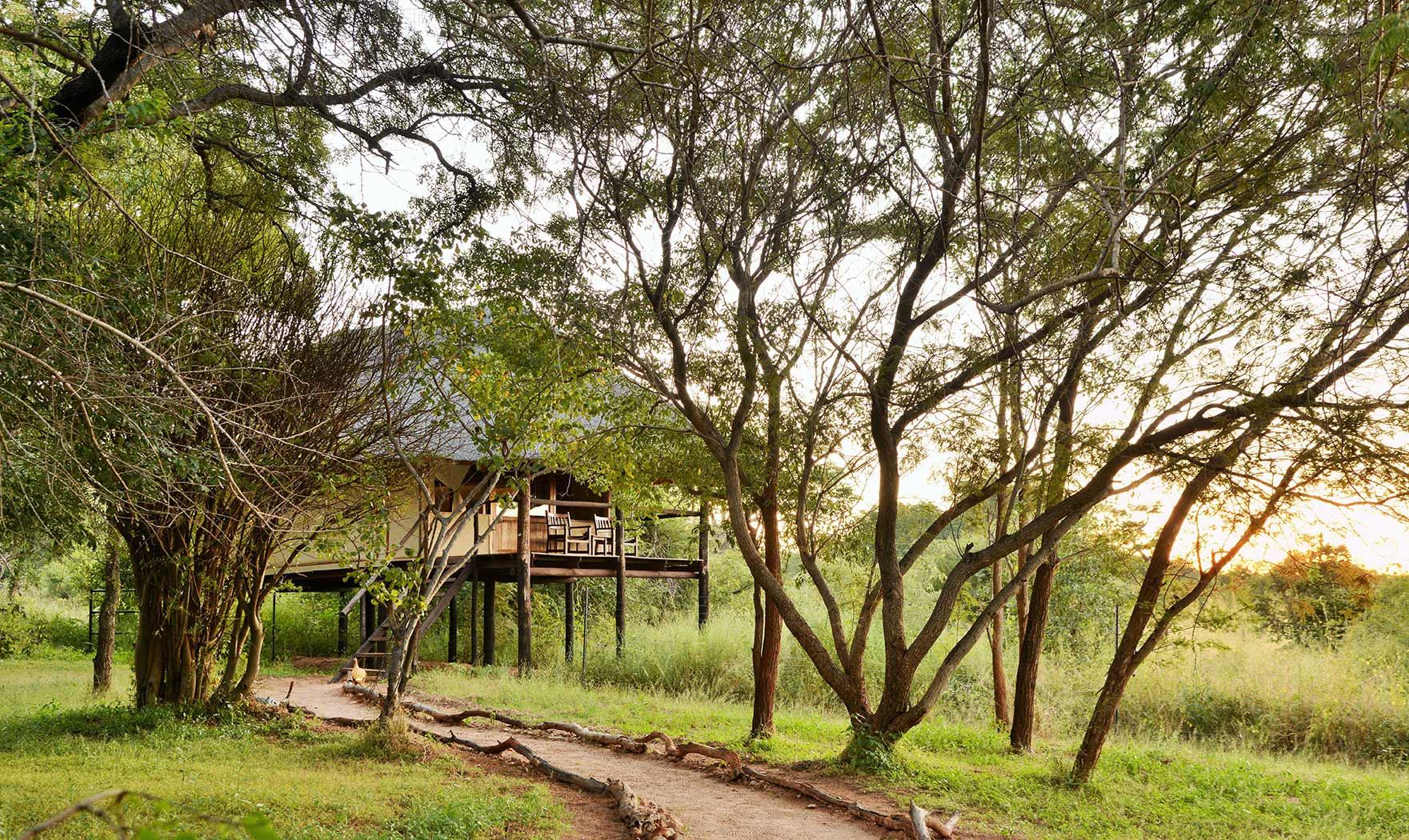 Ivory Safari Lodge en Hwange