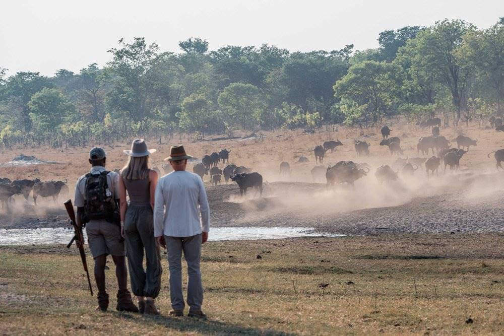 Khulu Bush Camp en Hwange