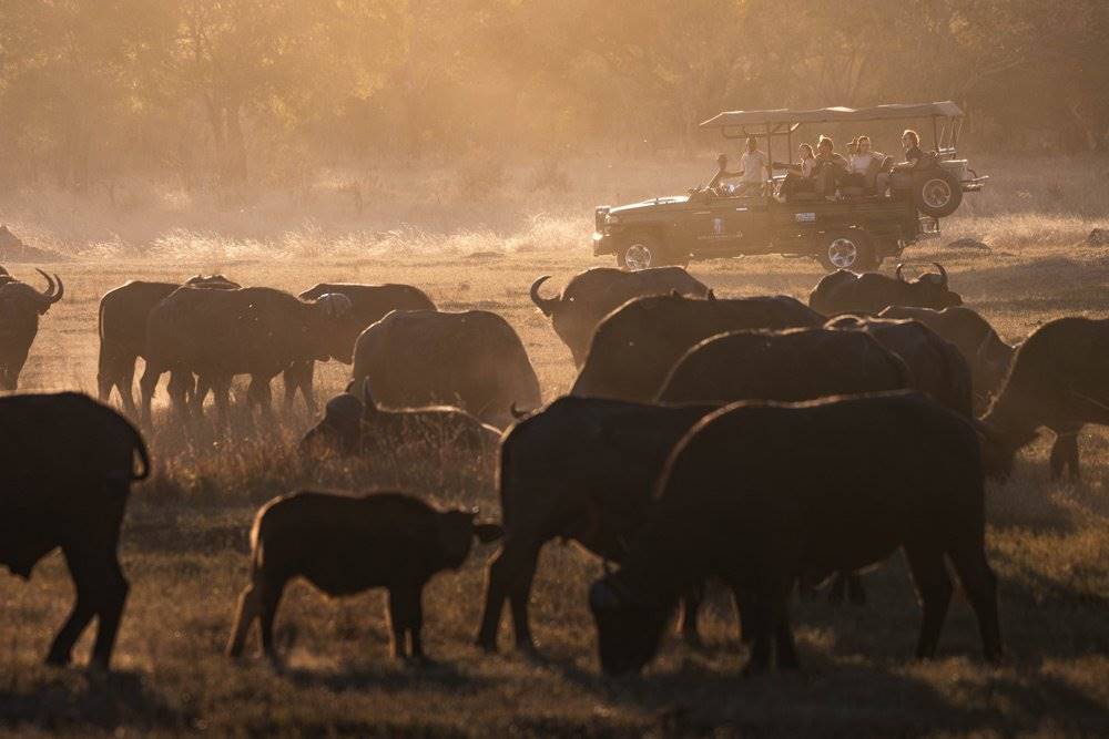 Khulu Bush Camp en Hwange