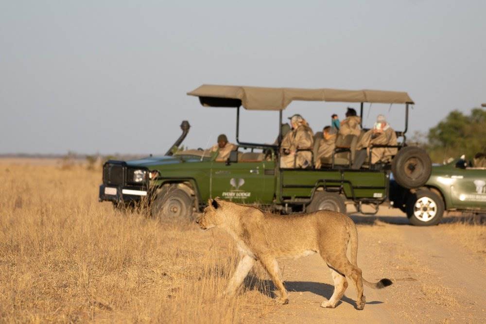 Khulu Bush Camp en Hwange