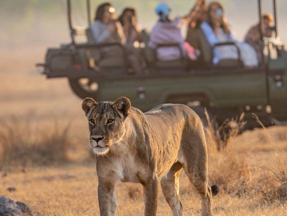 Khulu Bush Camp en Hwange