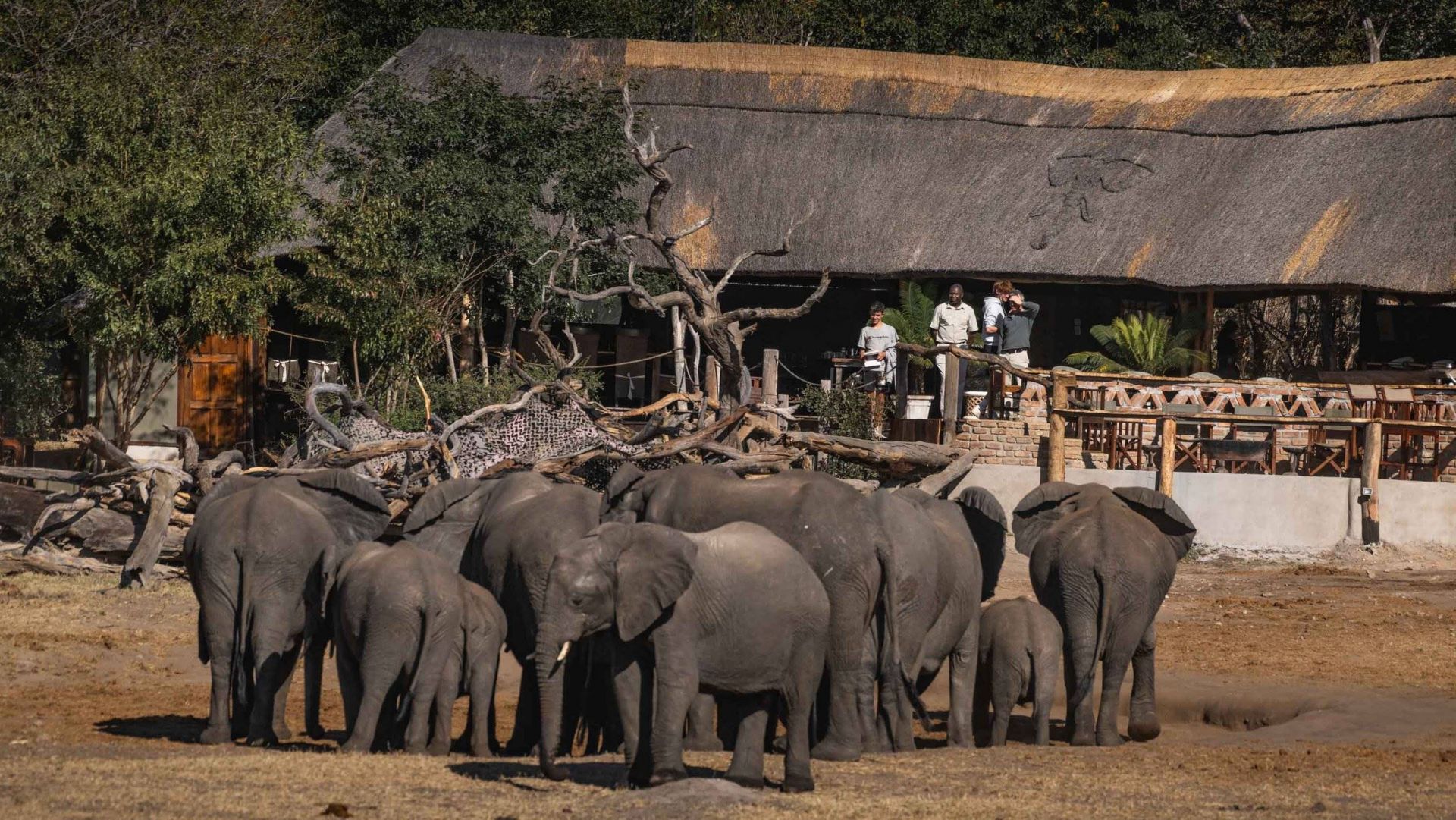 Khulu Bush Camp en Hwange
