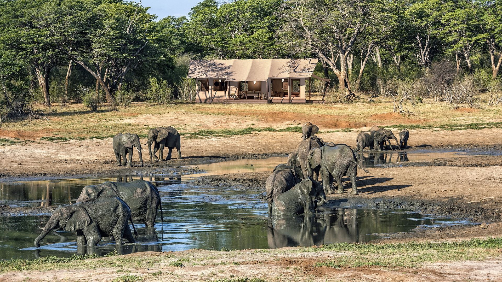Verney's Camp en Hwange