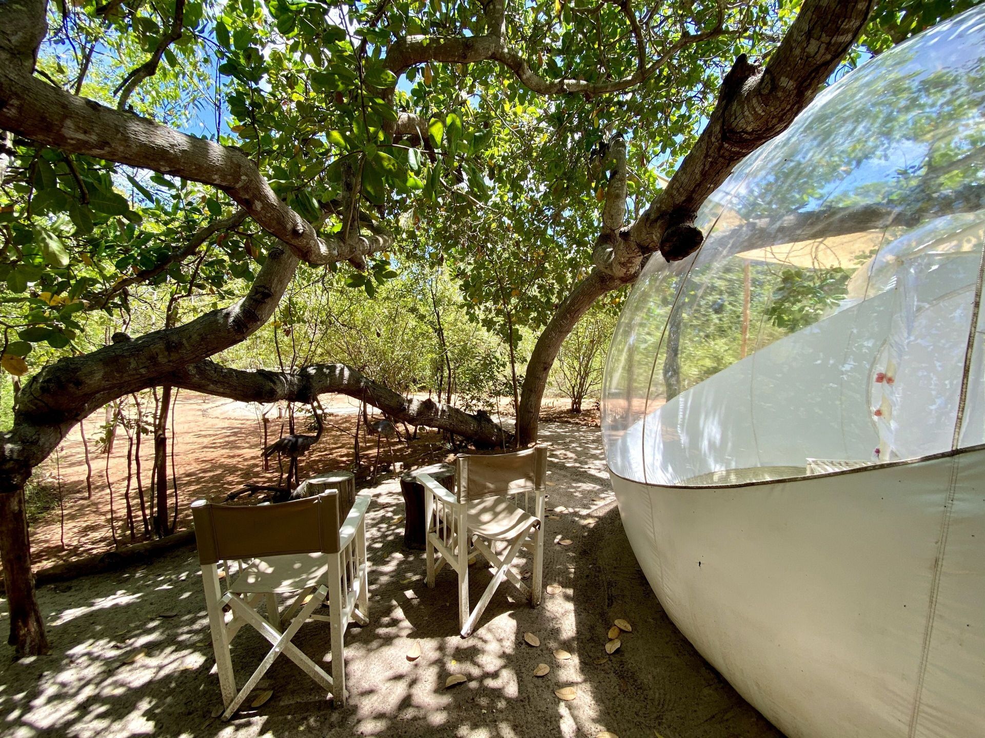 The Rock and Sea Bubble Ecolodge en Kenia