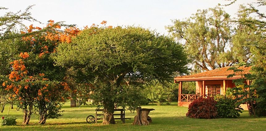 Offbeat Sosian Lodge en Laikipia 