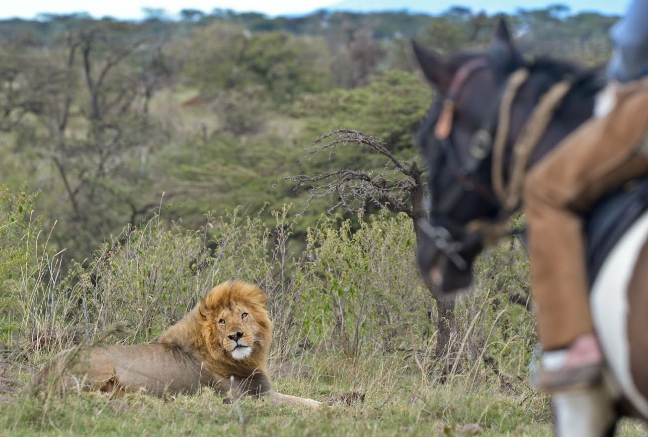 Offbeat Sosian Lodge en Laikipia 