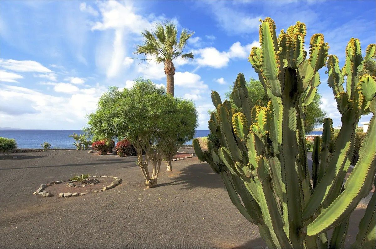 Iberostar Selection Lanzarote Park en Lanzarote