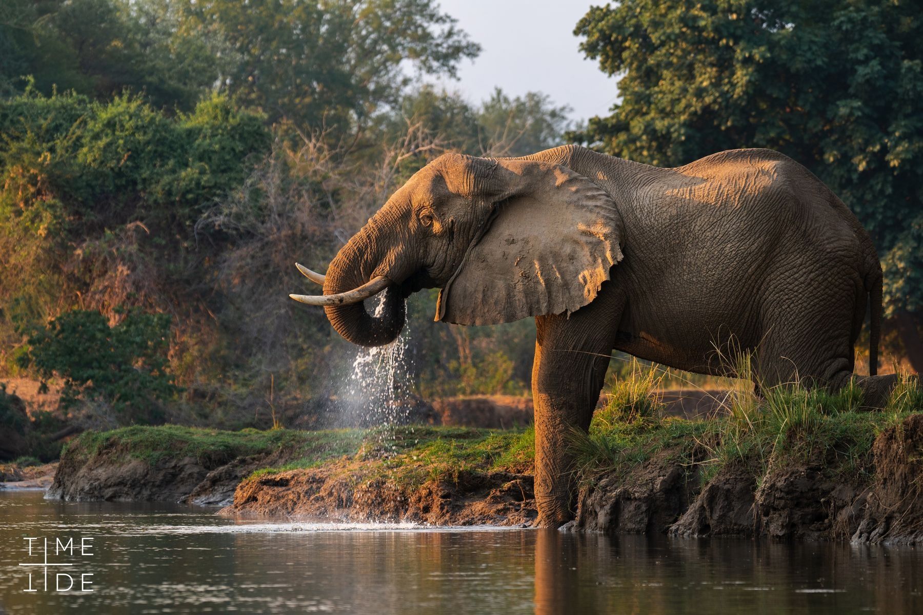 Chongwe Camp en Lower Zambezi