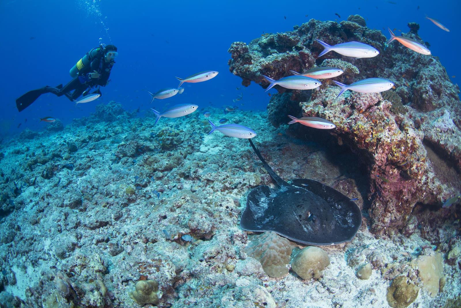 JA Manafaru en Haa Alifu Atoll