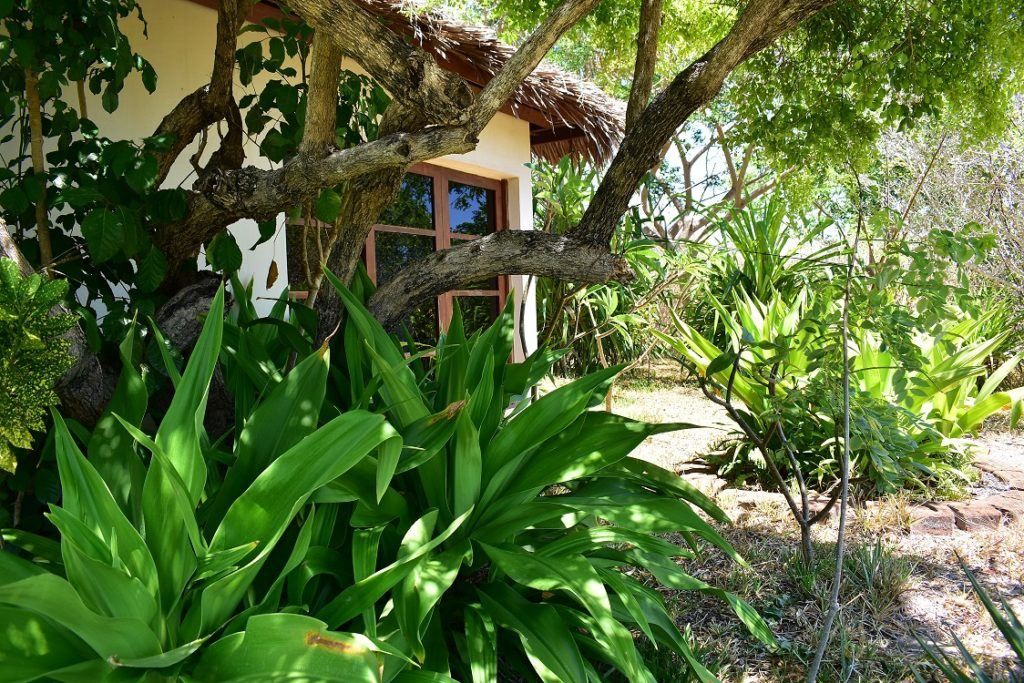 Chuiba Bay Lodge en Pemba