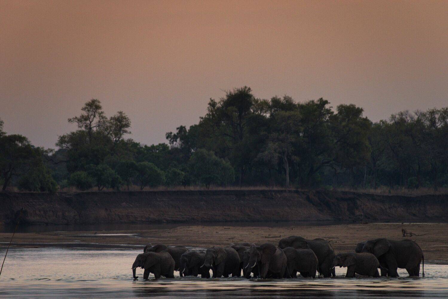 Shawa Luangwa Camp en Luangwa Valley