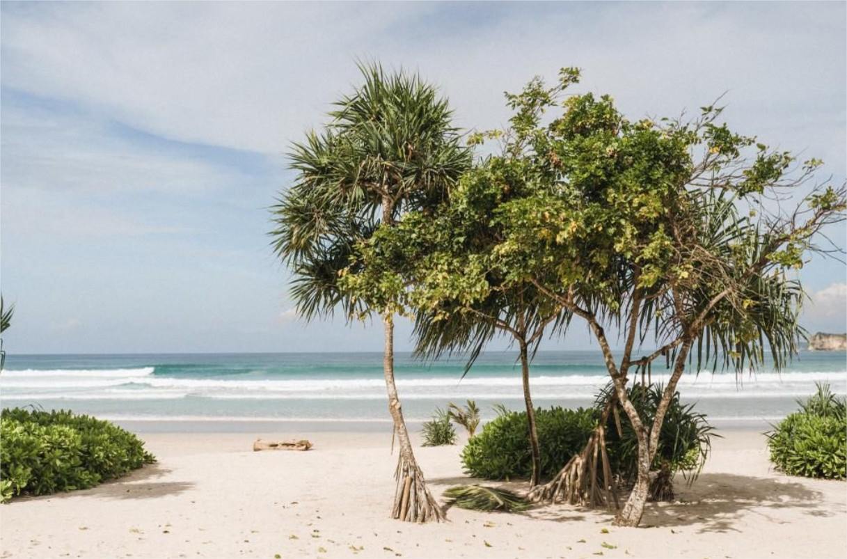 Sumba Island