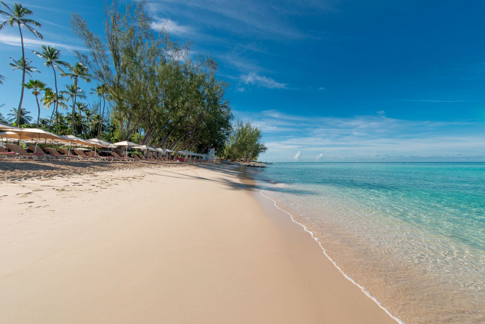 Colony Club by Elegant Hotels en Barbados