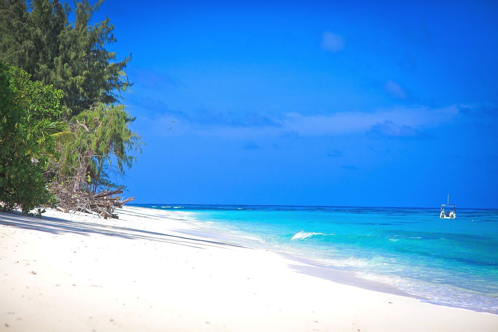 Denis Private Island en Denis Island