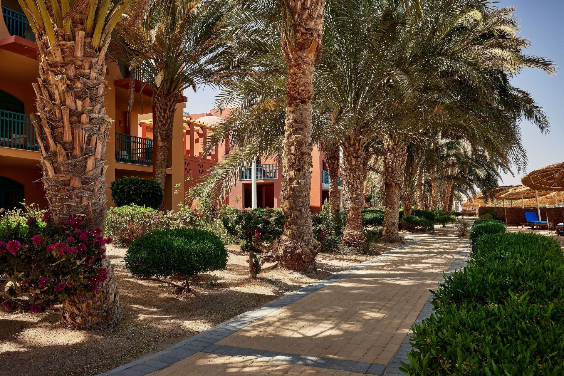 Sheraton Miramar Resort El Gouna en Hurghada