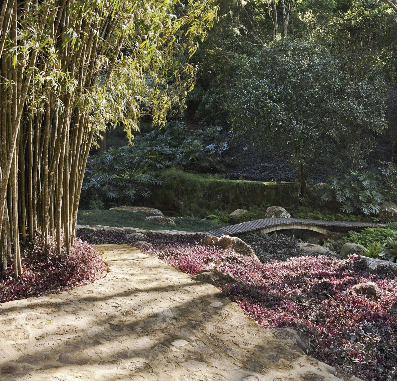 O Sitio Ilha Grande en Isla grande
