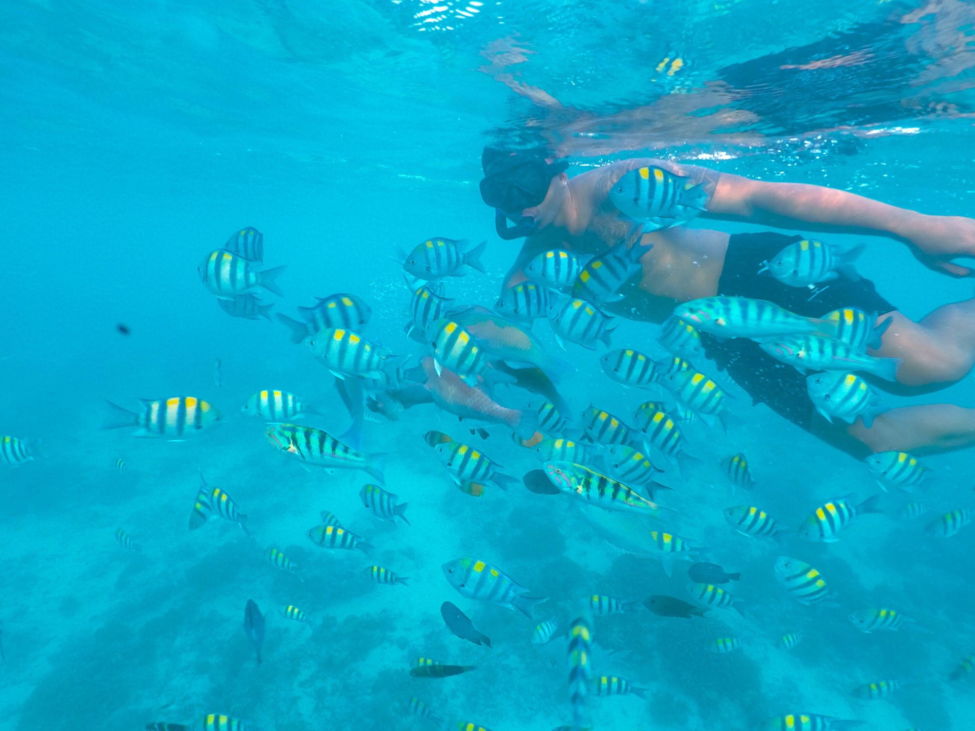 Villa Samalas Resort en Islas Gili