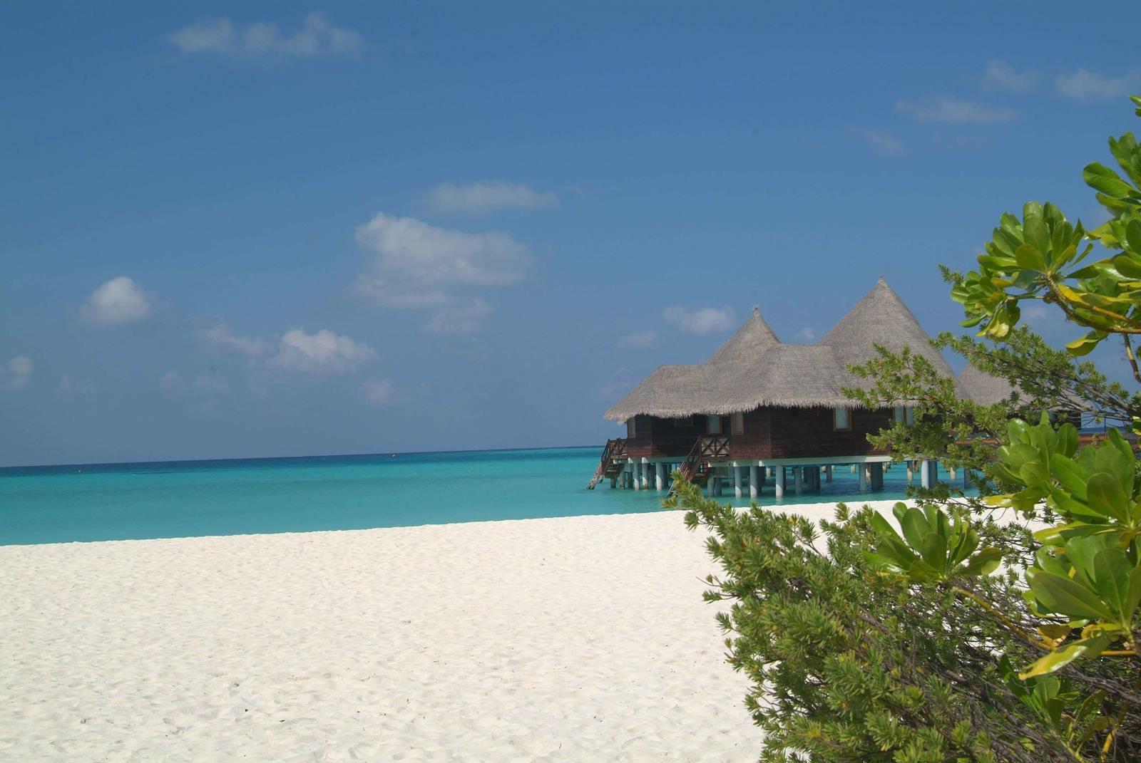 Coco Palm Dhuni Kolhu en Baa Atoll