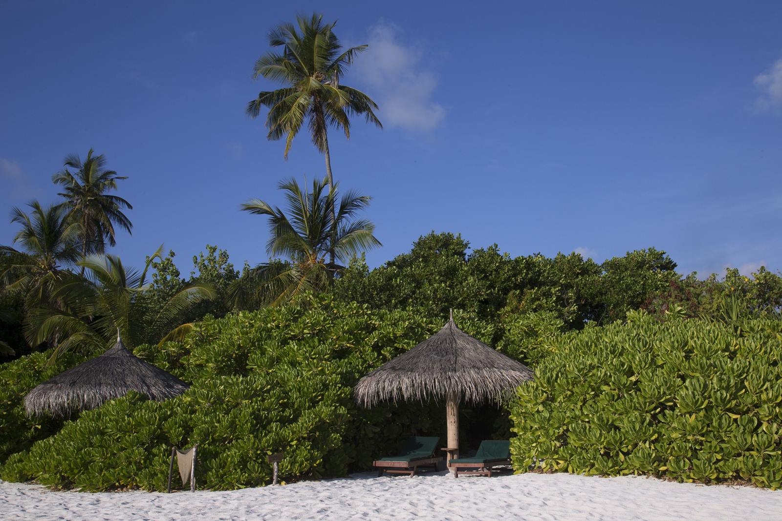 Coco Palm Dhuni Kolhu en Baa Atoll