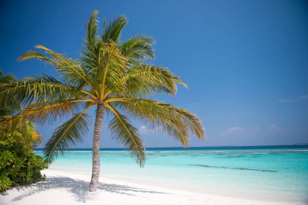 Coco Palm Dhuni Kolhu en Baa Atoll