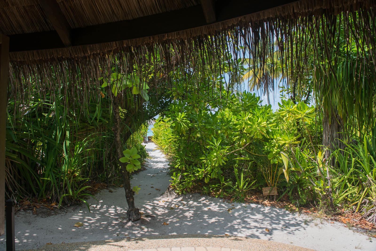 Coco Palm Dhuni Kolhu en Baa Atoll