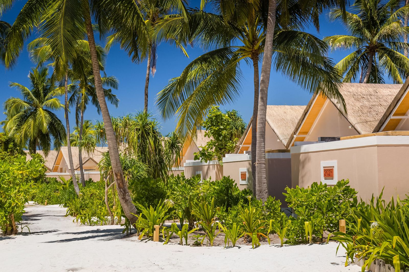 Kudafushi Resort & SPA en Raa Atoll