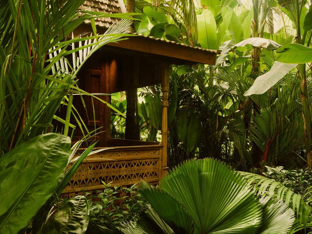 Lost Lindenberg en Canggu