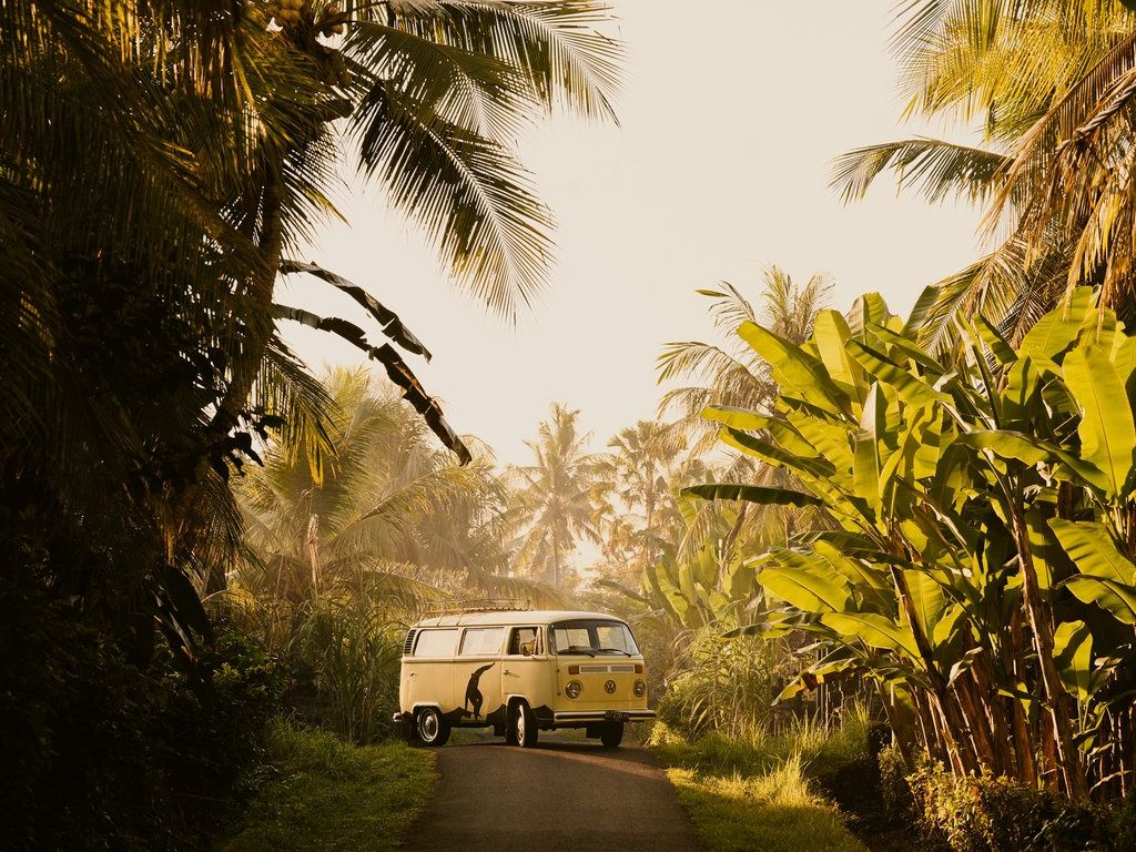 Lost Lindenberg en Canggu