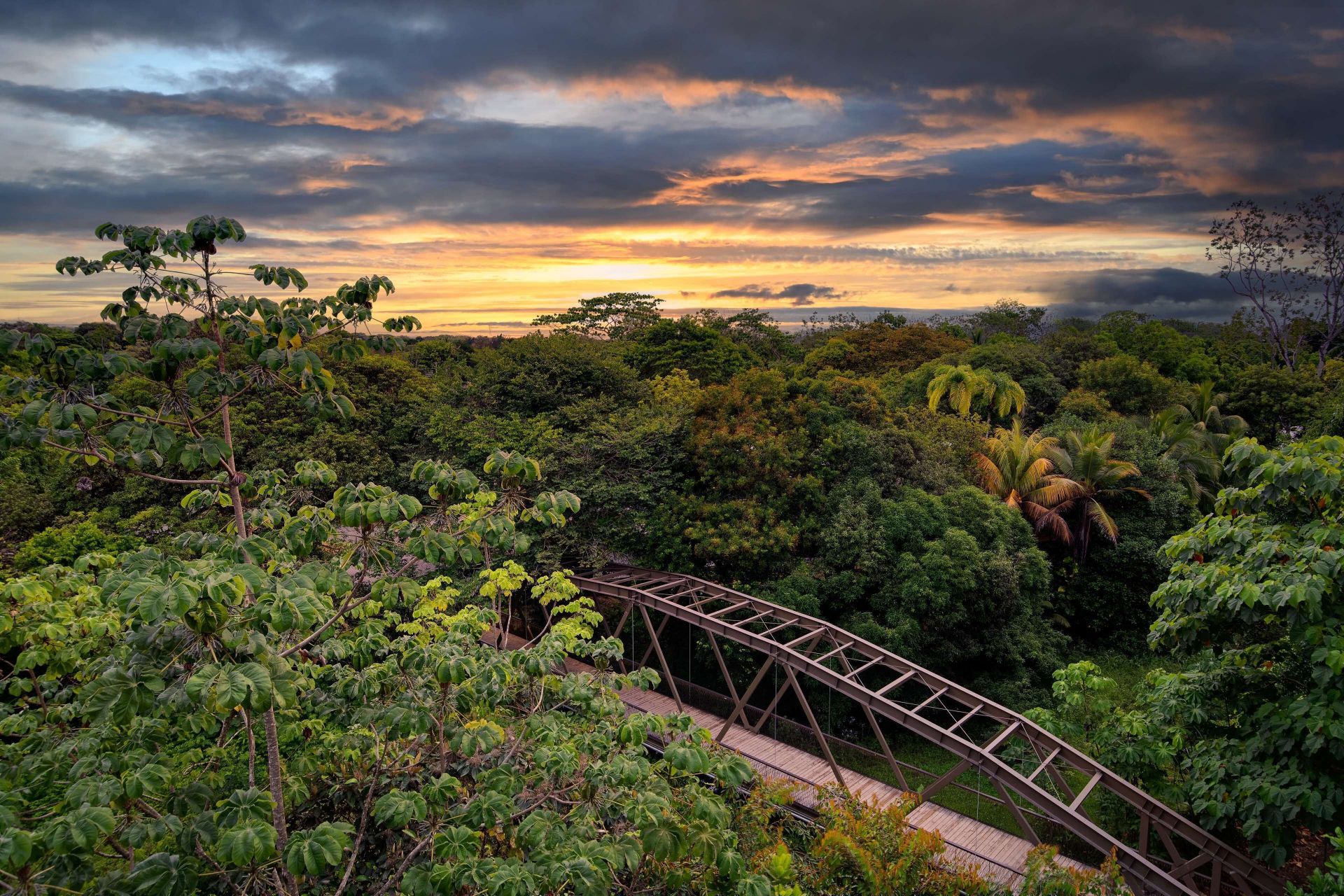 Botanika Osa Peninsula, Curio Collection by Hilton en Manuel Antonio