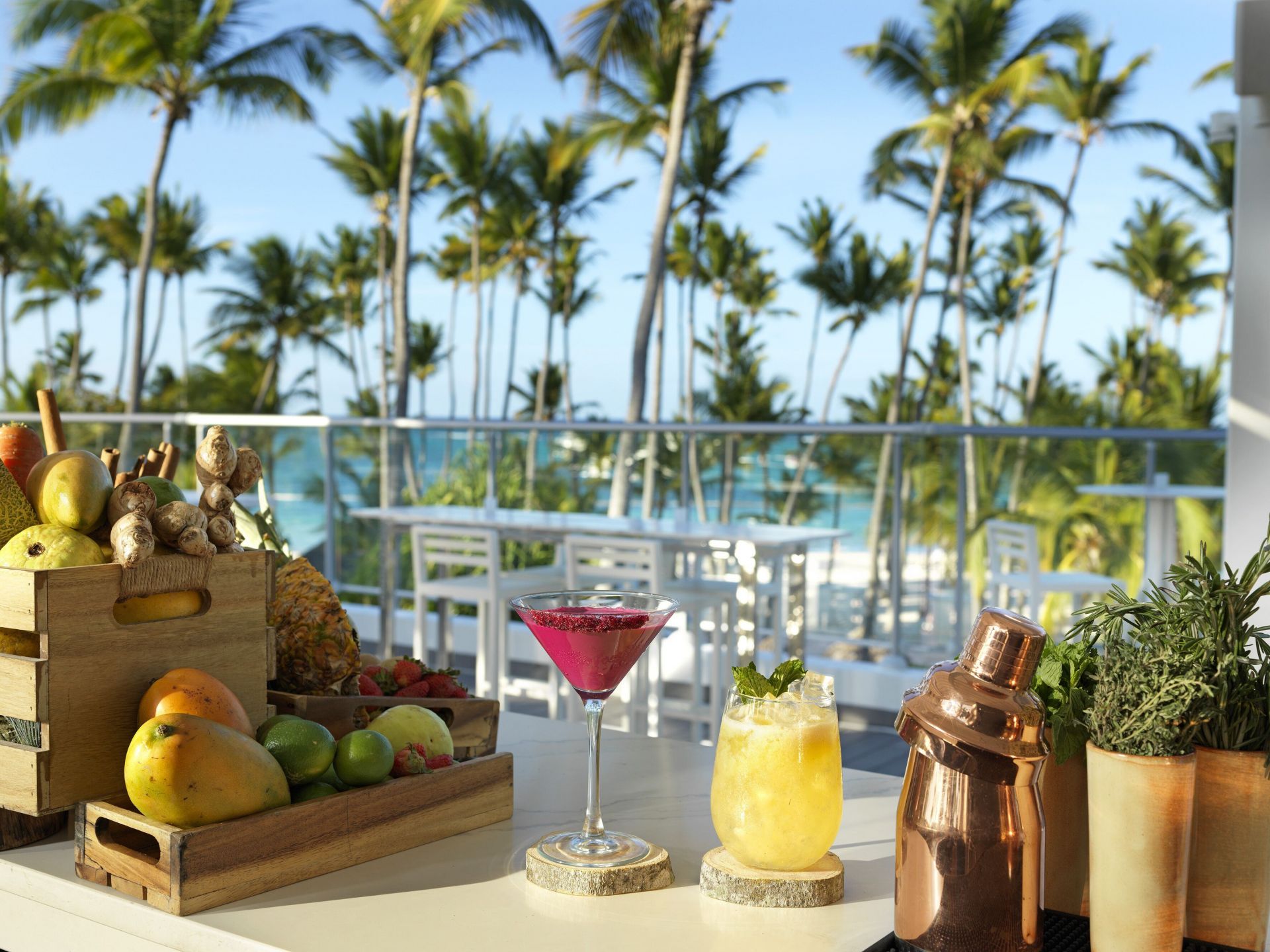 Melia Punta Cana Beach en Punta Cana